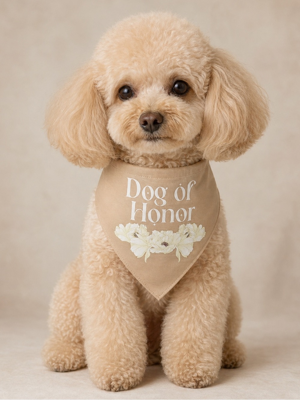 NWT Top Paw Dog of Honor Beige Floral Dog Reversible Wedding Bandana Size Sm/Med